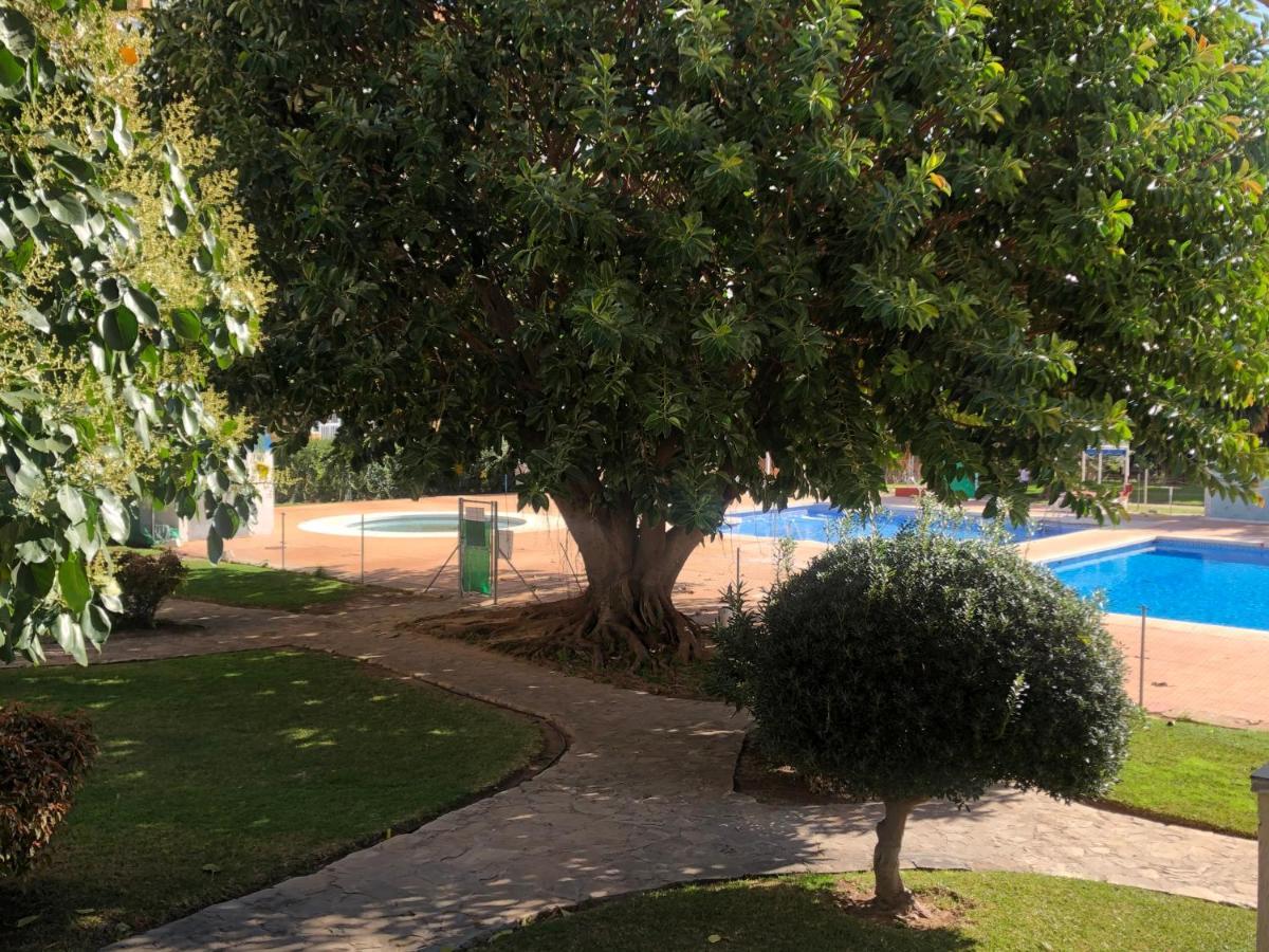 Estudio Vacacional Benalmadena Playa מראה חיצוני תמונה